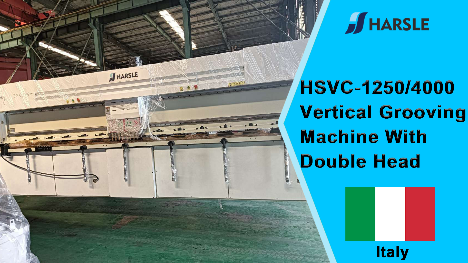 Italy-HSVC-1250/4000 آلة الحز العمودي ذات الرأس المزدوج